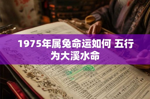 1975年属兔命运如何 五行为大溪水命