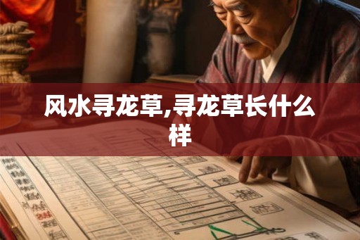 风水寻龙草,寻龙草长什么样