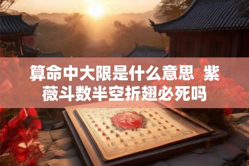算命中大限是什么意思  紫薇斗数半空折翅必死吗