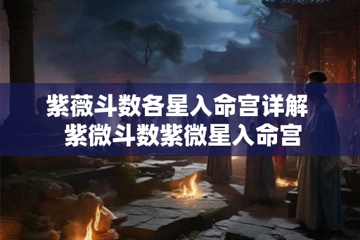 紫薇斗数各星入命宫详解  紫微斗数紫微星入命宫