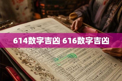 614数字吉凶 616数字吉凶