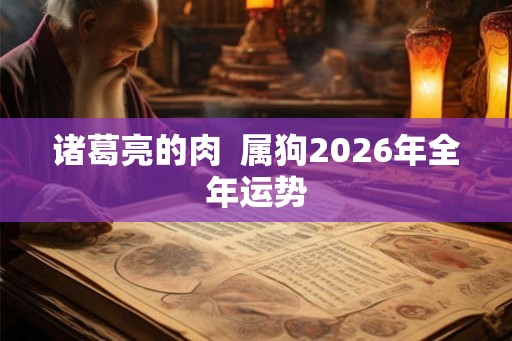 诸葛亮的肉  属狗2026年全年运势