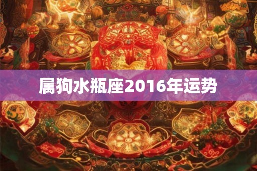 属狗水瓶座2016年运势