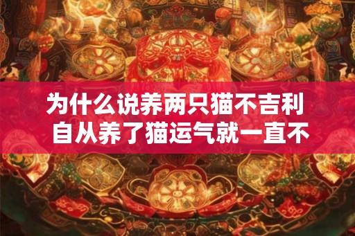 为什么说养两只猫不吉利  自从养了猫运气就一直不好