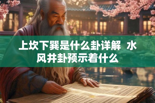 上坎下巽是什么卦详解  水风井卦预示着什么