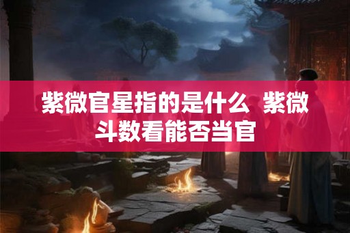 紫微官星指的是什么  紫微斗数看能否当官