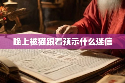 晚上被猫跟着预示什么迷信