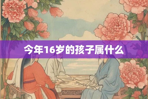 今年16岁的孩子属什么