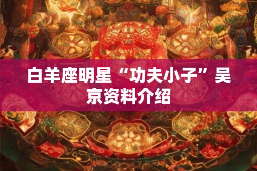 白羊座明星“功夫小子”吴京资料介绍