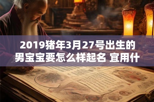 2019猪年3月27号出生的男宝宝要怎么样起名 宜用什么字