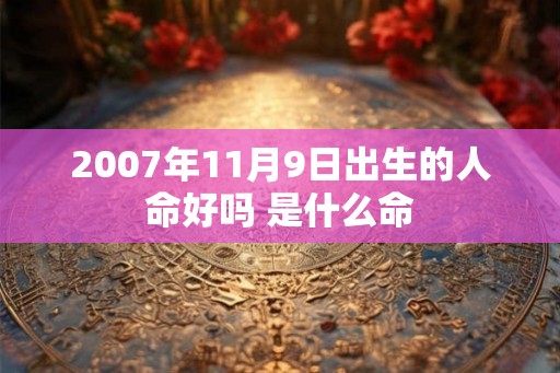 2007年11月9日出生的人命好吗 是什么命