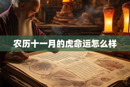 农历十一月的虎命运怎么样