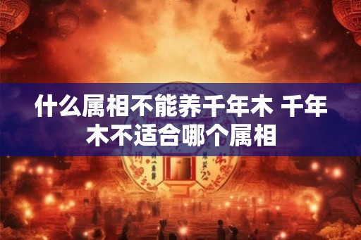 什么属相不能养千年木 千年木不适合哪个属相