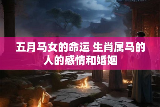 五月马女的命运 生肖属马的人的感情和婚姻