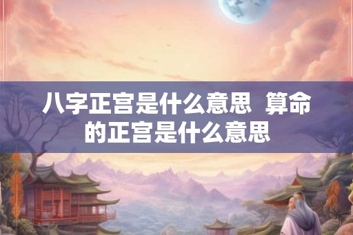 八字正宫是什么意思  算命的正宫是什么意思