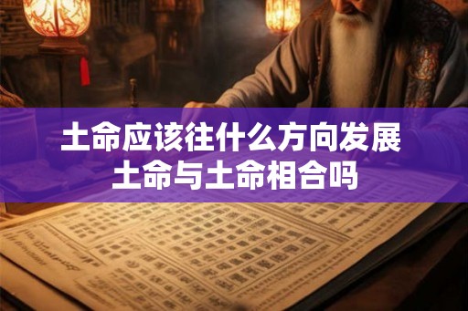 土命应该往什么方向发展 土命与土命相合吗