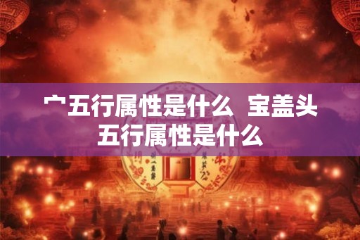 宀五行属性是什么  宝盖头五行属性是什么