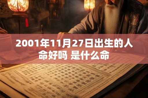 2001年11月27日出生的人命好吗 是什么命