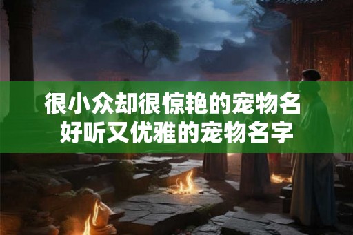很小众却很惊艳的宠物名 好听又优雅的宠物名字 很小众却很惊艳的宠物名 好听又优雅的宠物名字