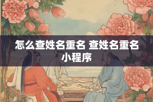怎么查姓名重名 查姓名重名小程序