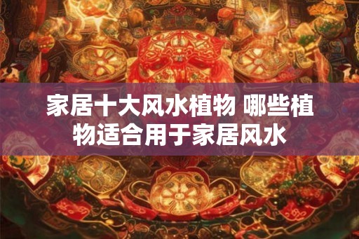 家居十大风水植物 哪些植物适合用于家居风水