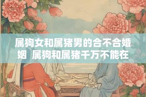 属狗女和属猪男的合不合婚姻  属狗和属猪千万不能在一起