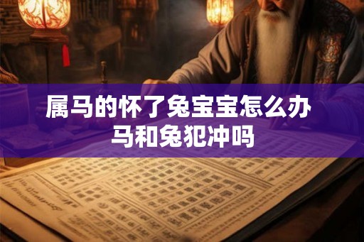 属马的怀了兔宝宝怎么办 马和兔犯冲吗