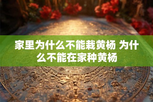 家里为什么不能栽黄杨 为什么不能在家种黄杨