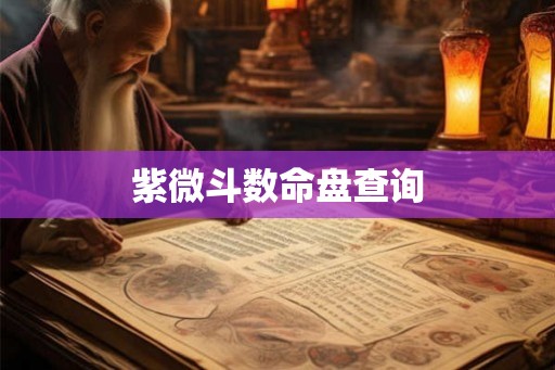 紫微斗数命盘查询 紫微斗数命盘查询