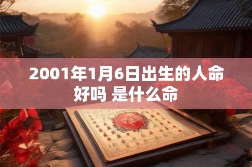 2001年1月6日出生的人命好吗 是什么命