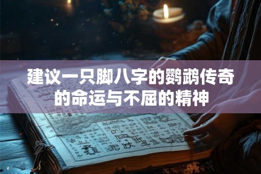 建议一只脚八字的鹦鹉传奇的命运与不屈的精神