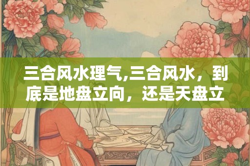 三合风水理气,三合风水，到底是地盘立向，还是天盘立向