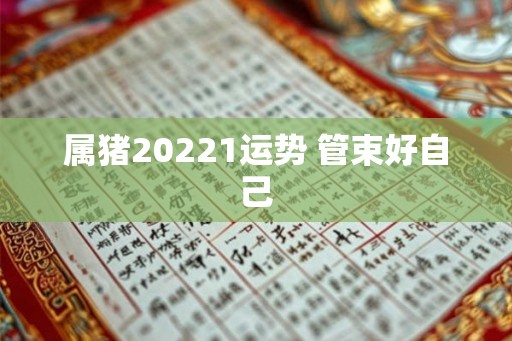 属猪20221运势 管束好自己