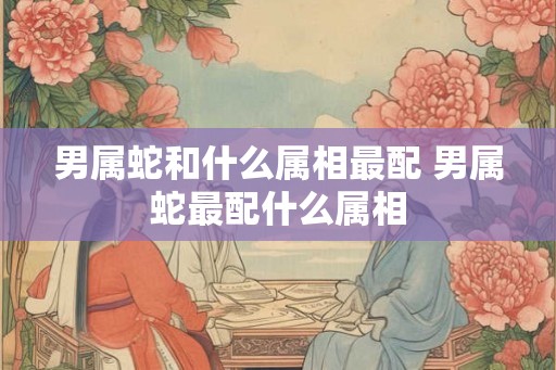 男属蛇和什么属相最配 男属蛇最配什么属相