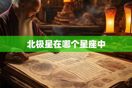 北极星在哪个星座中