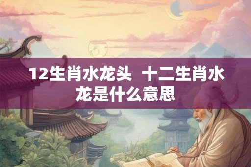 12生肖水龙头  十二生肖水龙是什么意思