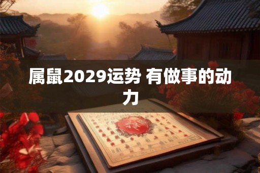 属鼠2029运势 有做事的动力