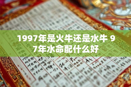1997年是火牛还是水牛 97年水命配什么好