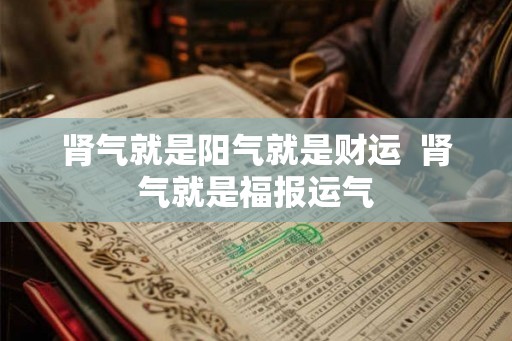 肾气就是阳气就是财运  肾气就是福报运气