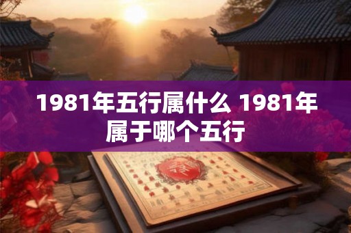 1981年五行属什么 1981年属于哪个五行