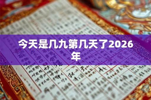 今天是几九第几天了2026年