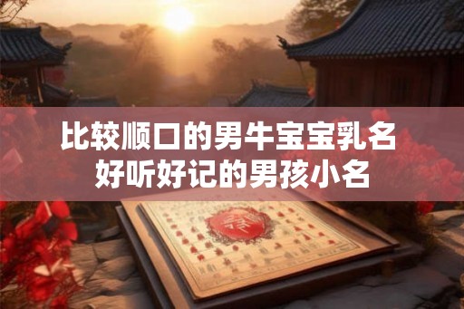 比较顺口的男牛宝宝乳名 好听好记的男孩小名