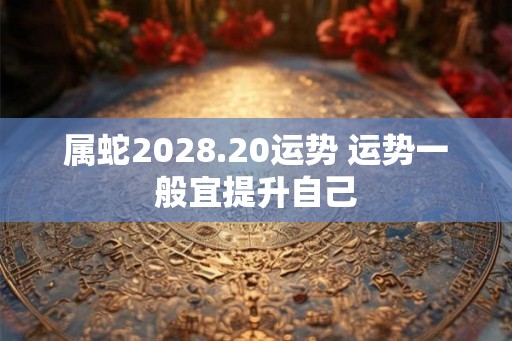 属蛇2028.20运势 运势一般宜提升自己