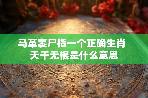 马革裹尸指一个正确生肖  天干无根是什么意思