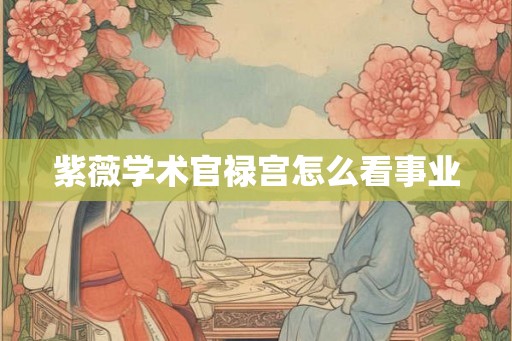 紫薇学术官禄宫怎么看事业