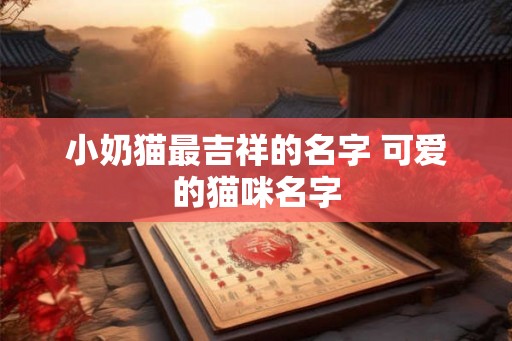 小奶猫最吉祥的名字 可爱的猫咪名字