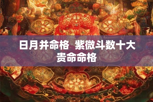 日月并命格  紫微斗数十大贵命命格