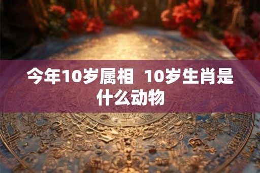 今年10岁属相 10岁生肖是什么动物 今年10岁属相 10岁生肖是什么动物