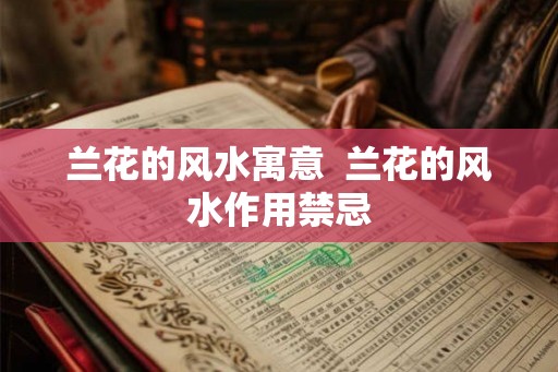 兰花的风水寓意  兰花的风水作用禁忌