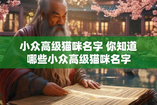 小众高级猫咪名字 你知道哪些小众高级猫咪名字
